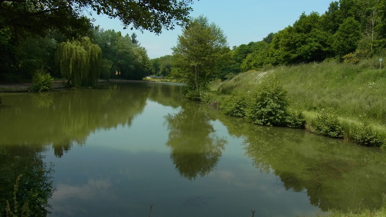 Photo of Outdoor in Corseul