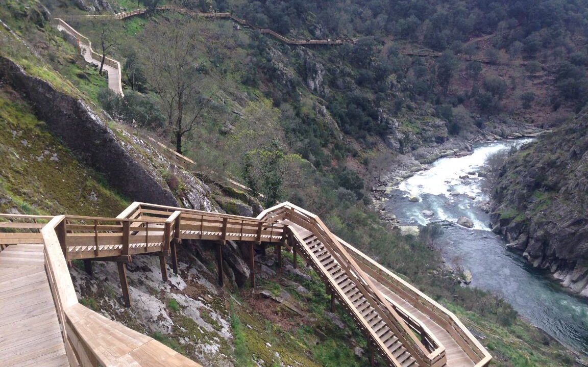 Photo of Others in Sao Lourenco do Douro