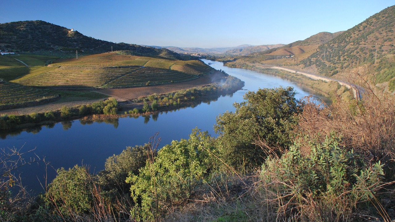 Photo of Outdoor in Sao Lourenco do Douro