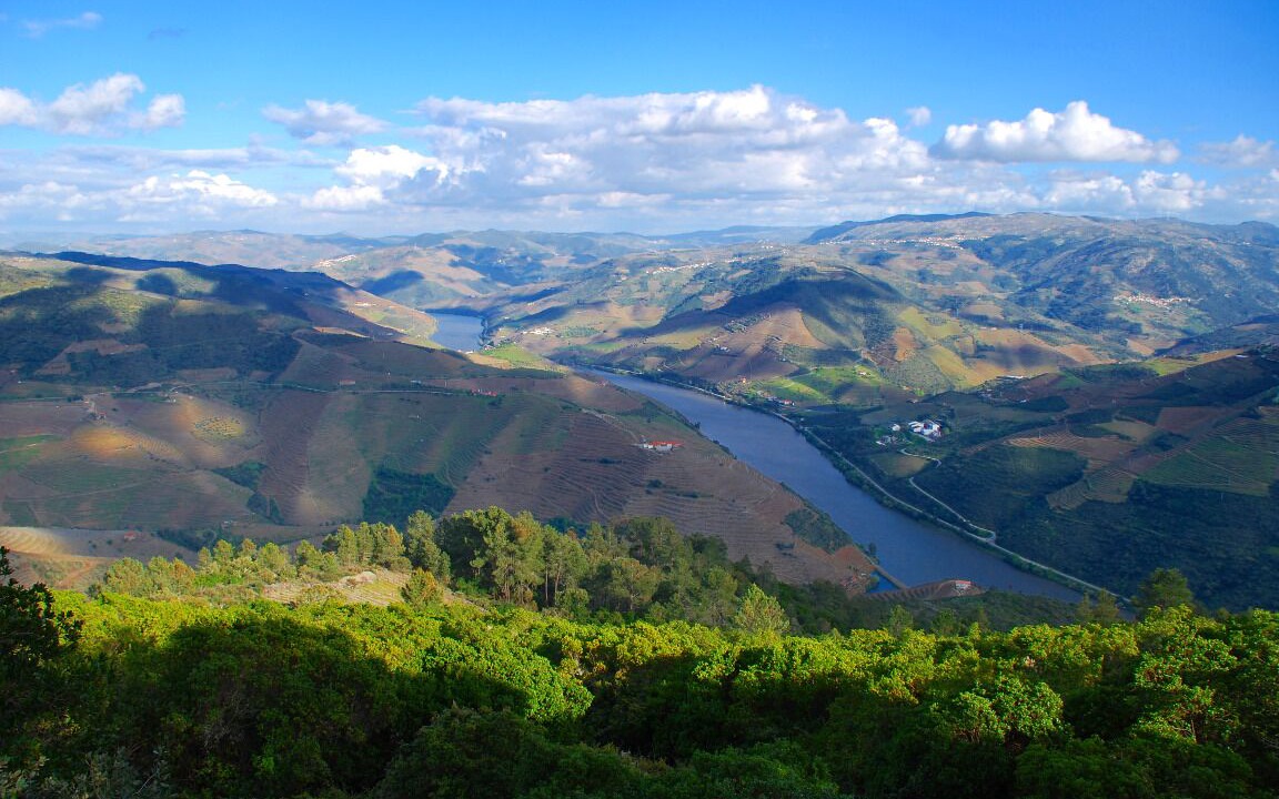 Photo of Outdoor in Sao Lourenco do Douro