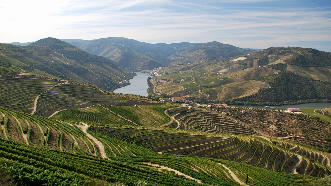 Photo of Outdoor in Sao Lourenco do Douro