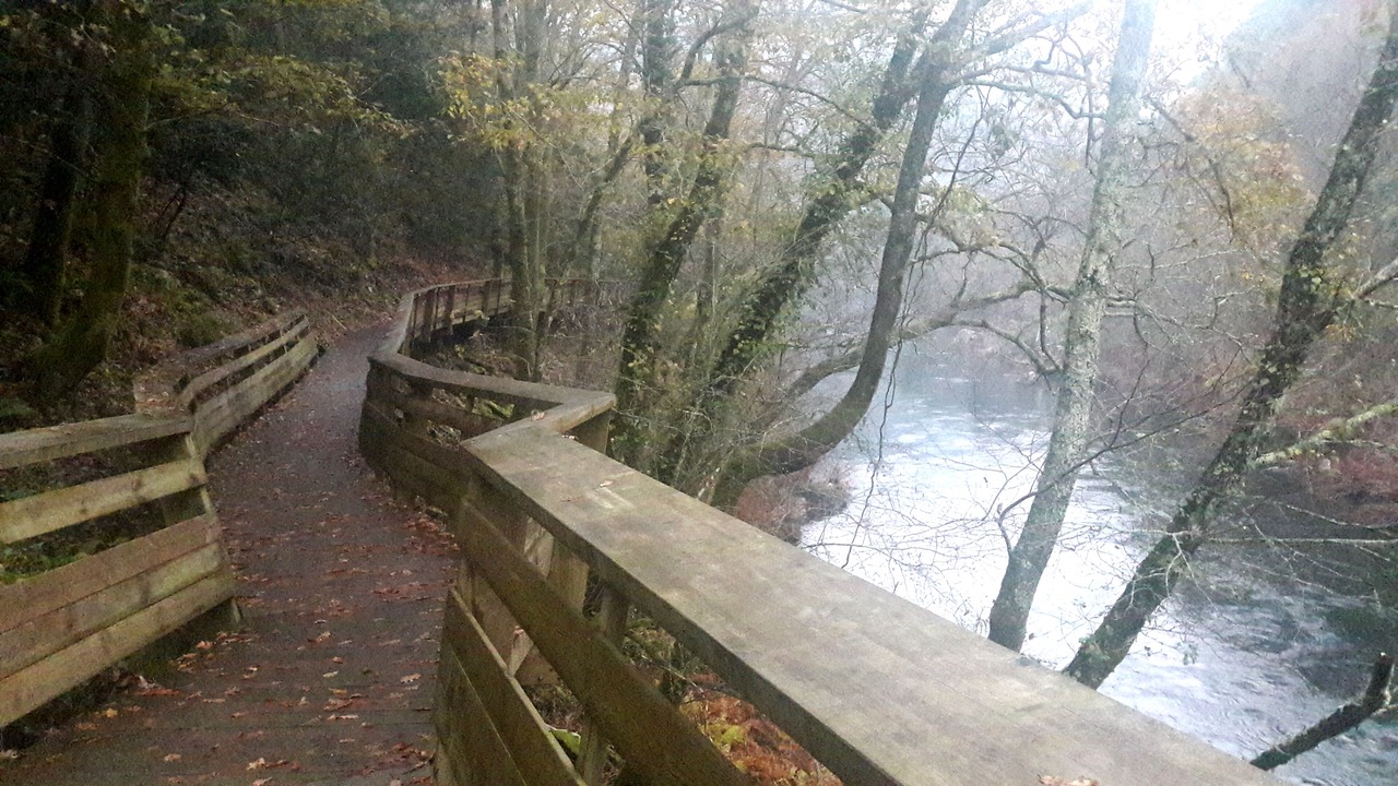 Photo of Outdoor in Sao Lourenco do Douro