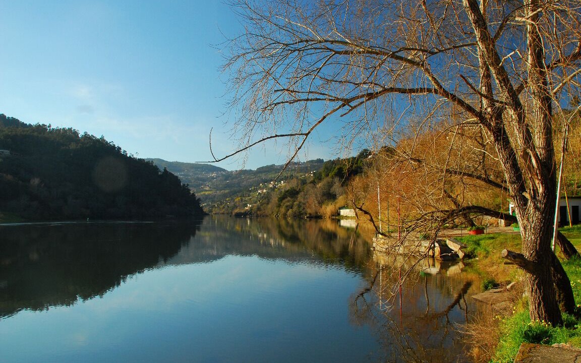 Photo of Others in Sao Lourenco do Douro