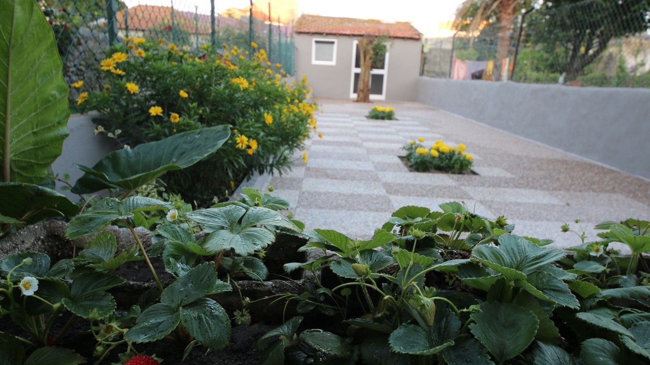 Photo of Outdoor in Povoa De Varzim