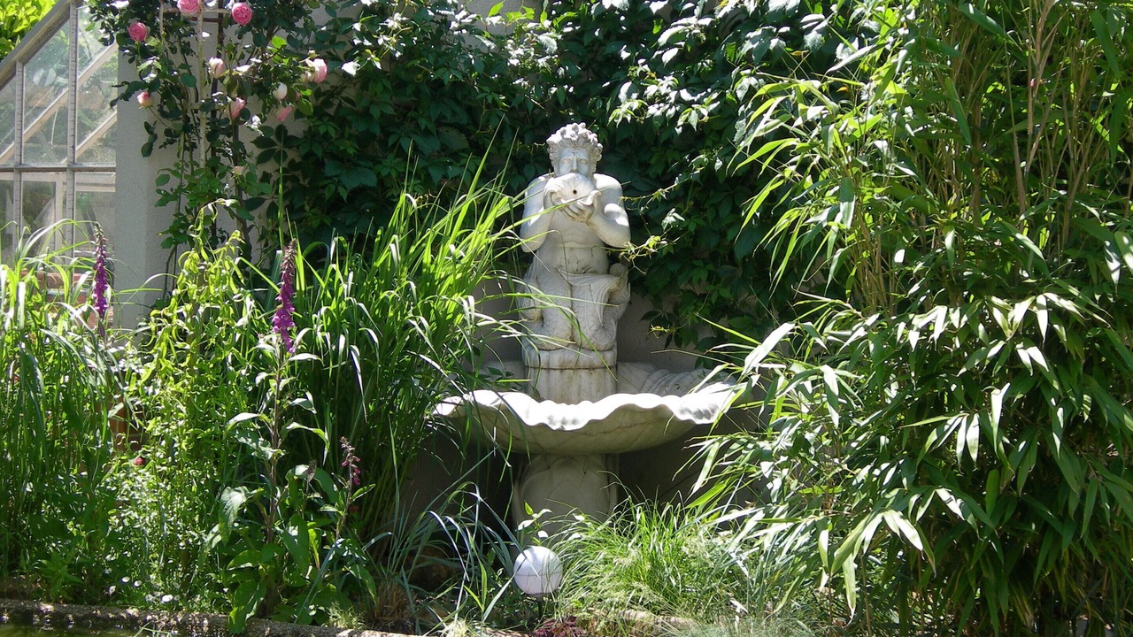Photo of Outdoor in Selles-sur-Cher