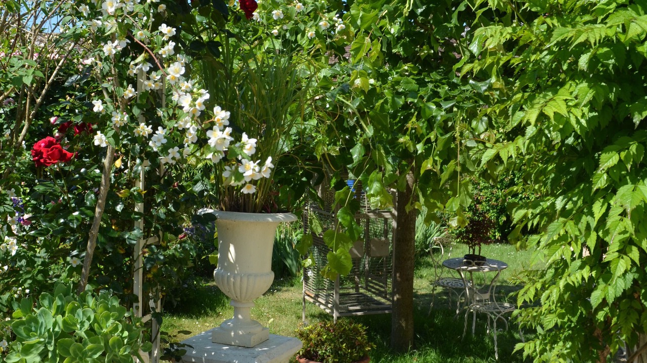 Photo of Patio Balcony in Selles-sur-Cher