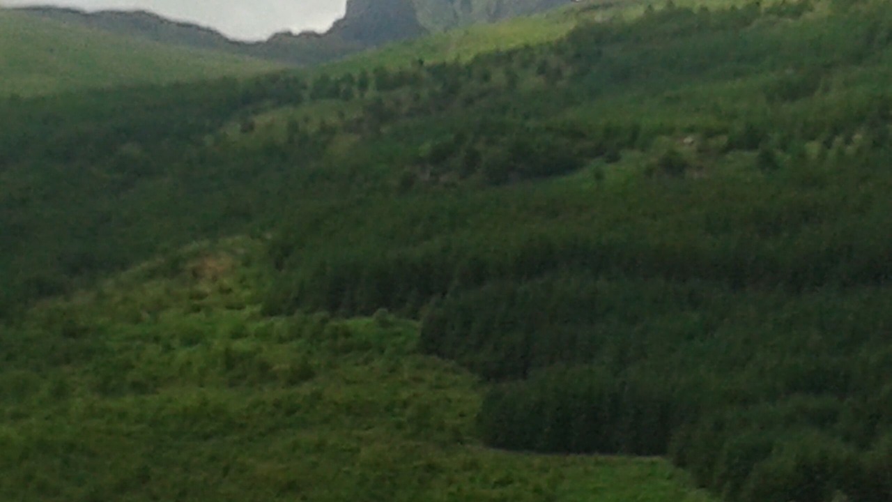 Photo of Outdoor in Arrochar