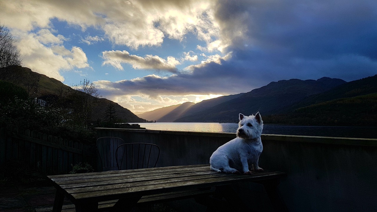 Photo of Outdoor in Arrochar