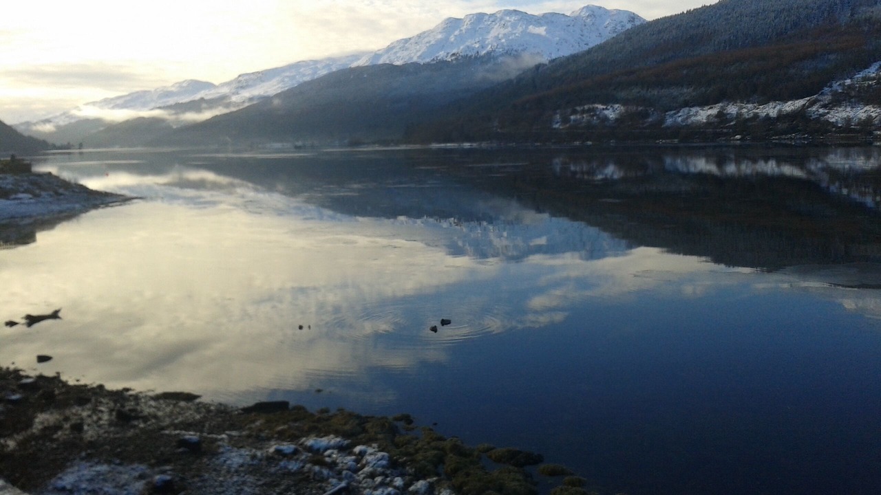 Photo of Others in Arrochar
