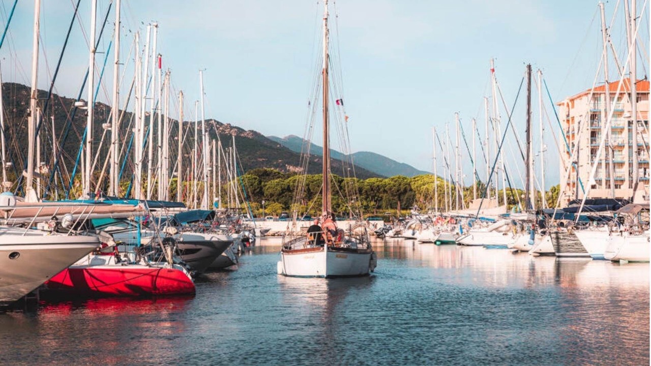 Photo of Others in Argeles-sur-Mer