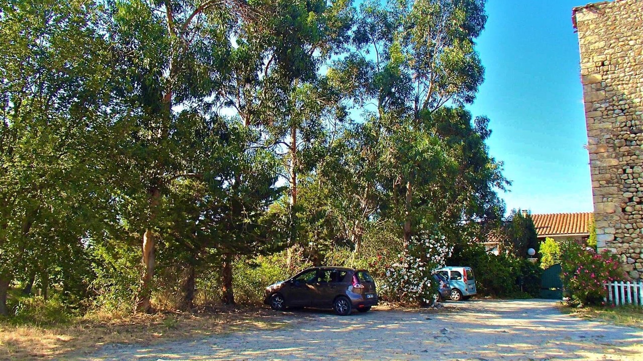 Photo of Others in Argeles-sur-Mer
