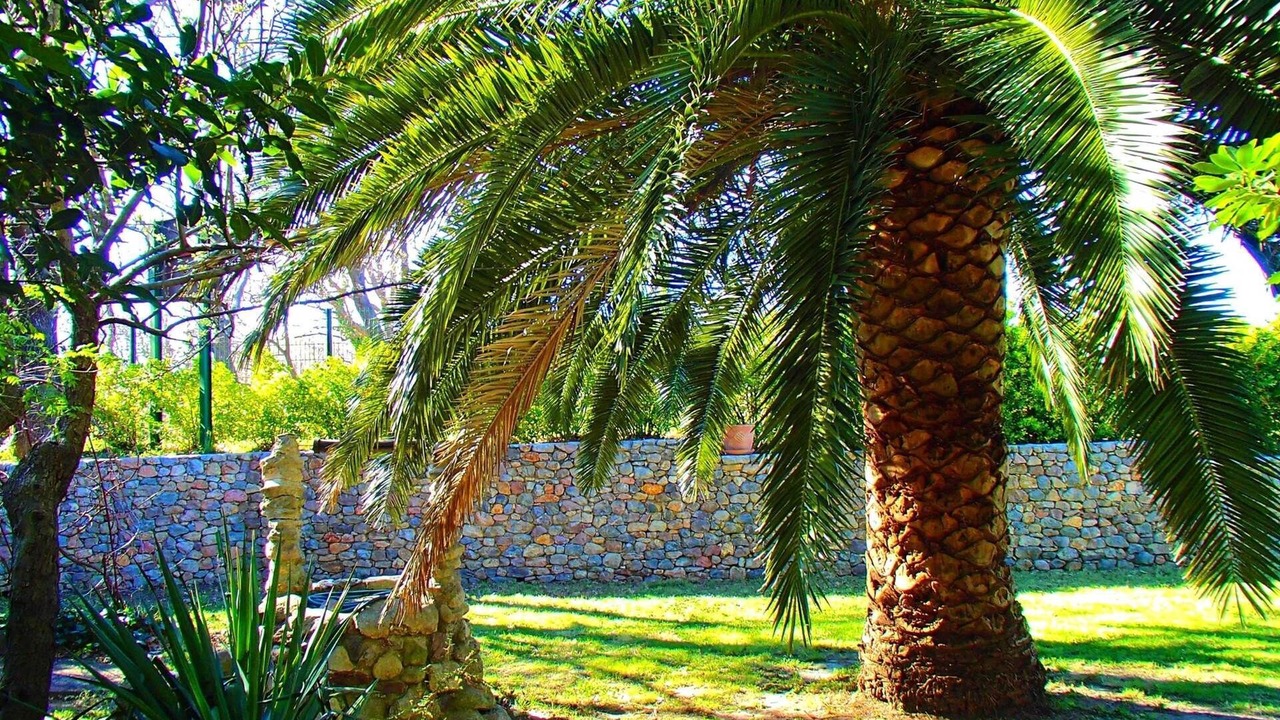 Photo of Others in Argeles-sur-Mer