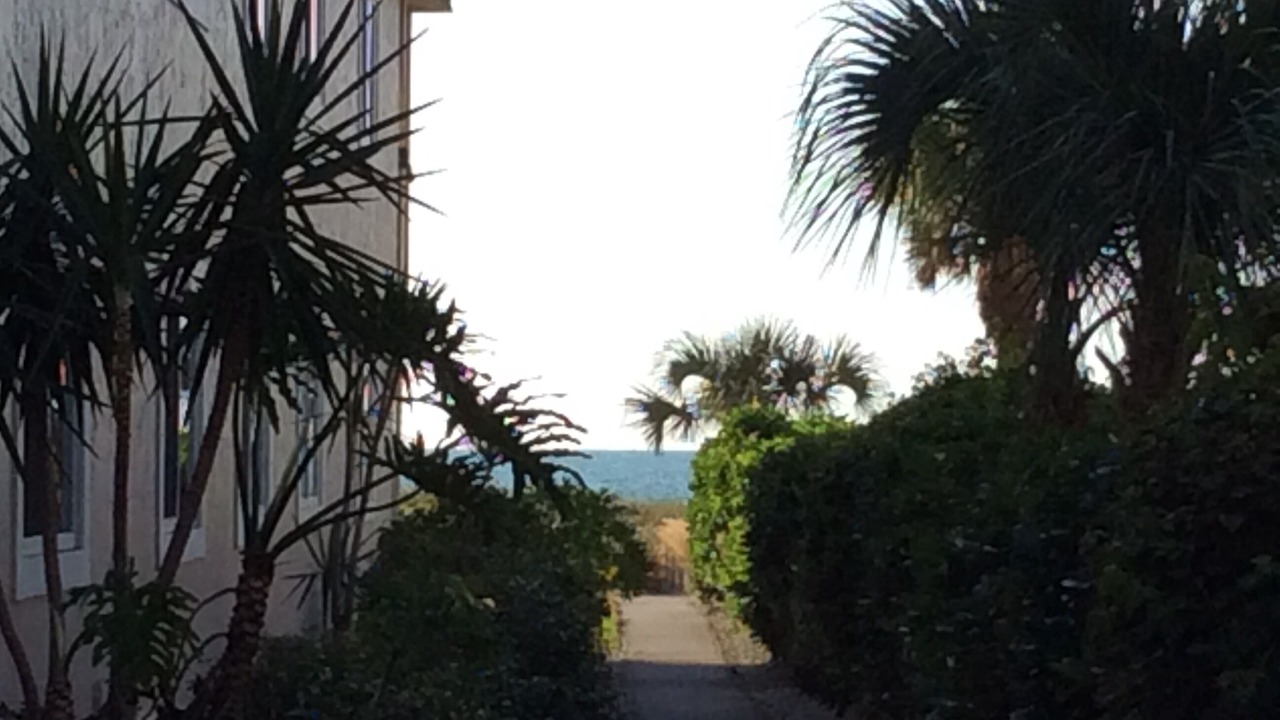 Photo of Others in Golden Beach