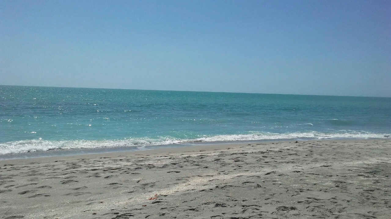 Photo of Others in Golden Beach
