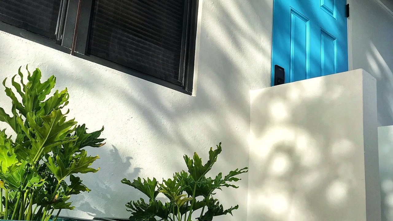 Photo of Outdoor in Boqueron