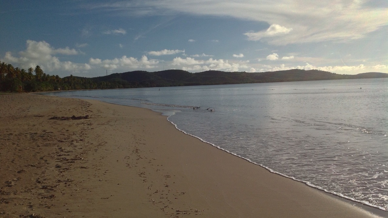 Photo of Others in Boqueron