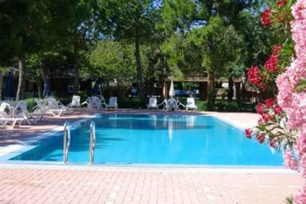 Photo of Outdoor in Marcelli
