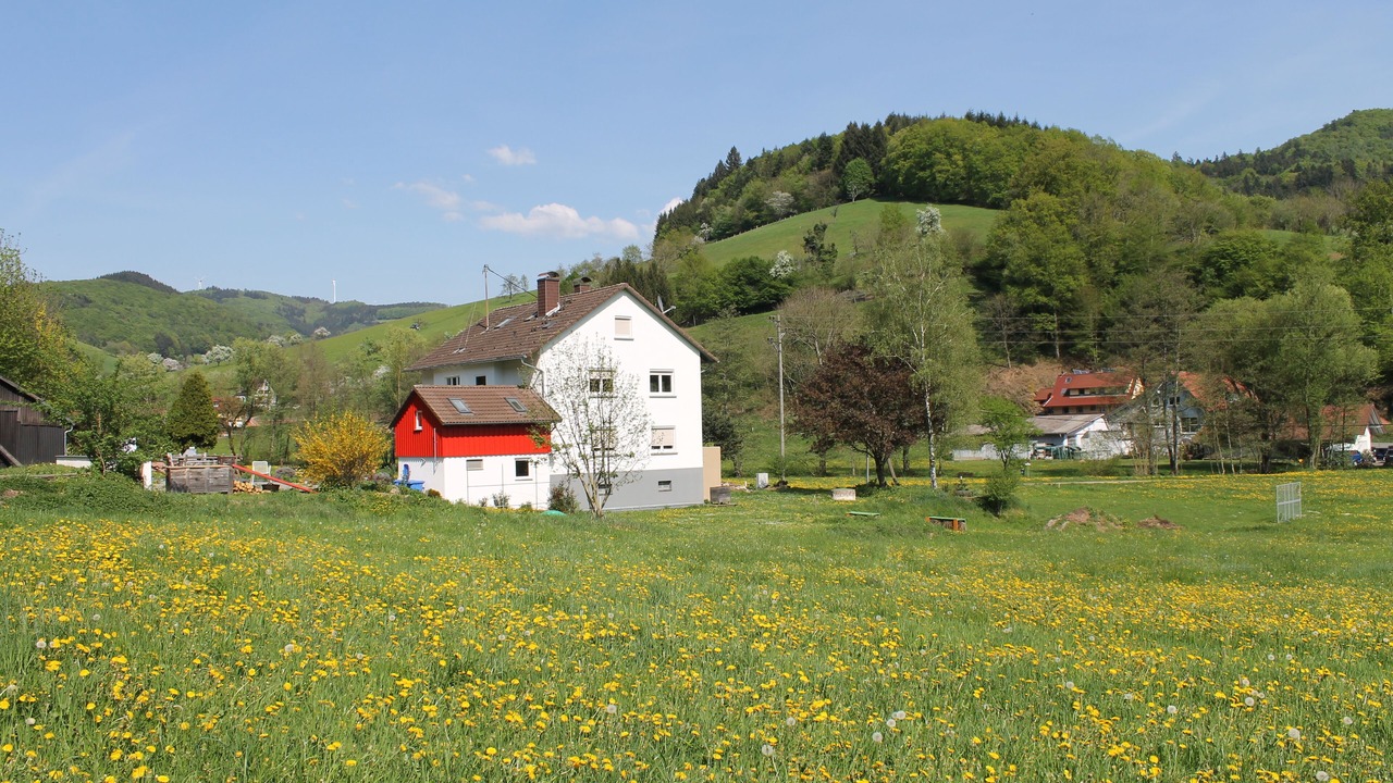 Photo of Outdoor in Freiamt