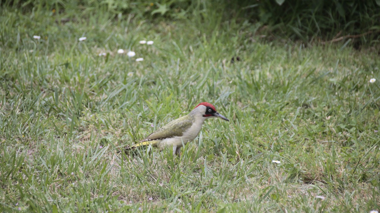 Photo of Outdoor in Saint-Hilaire-de-Riez