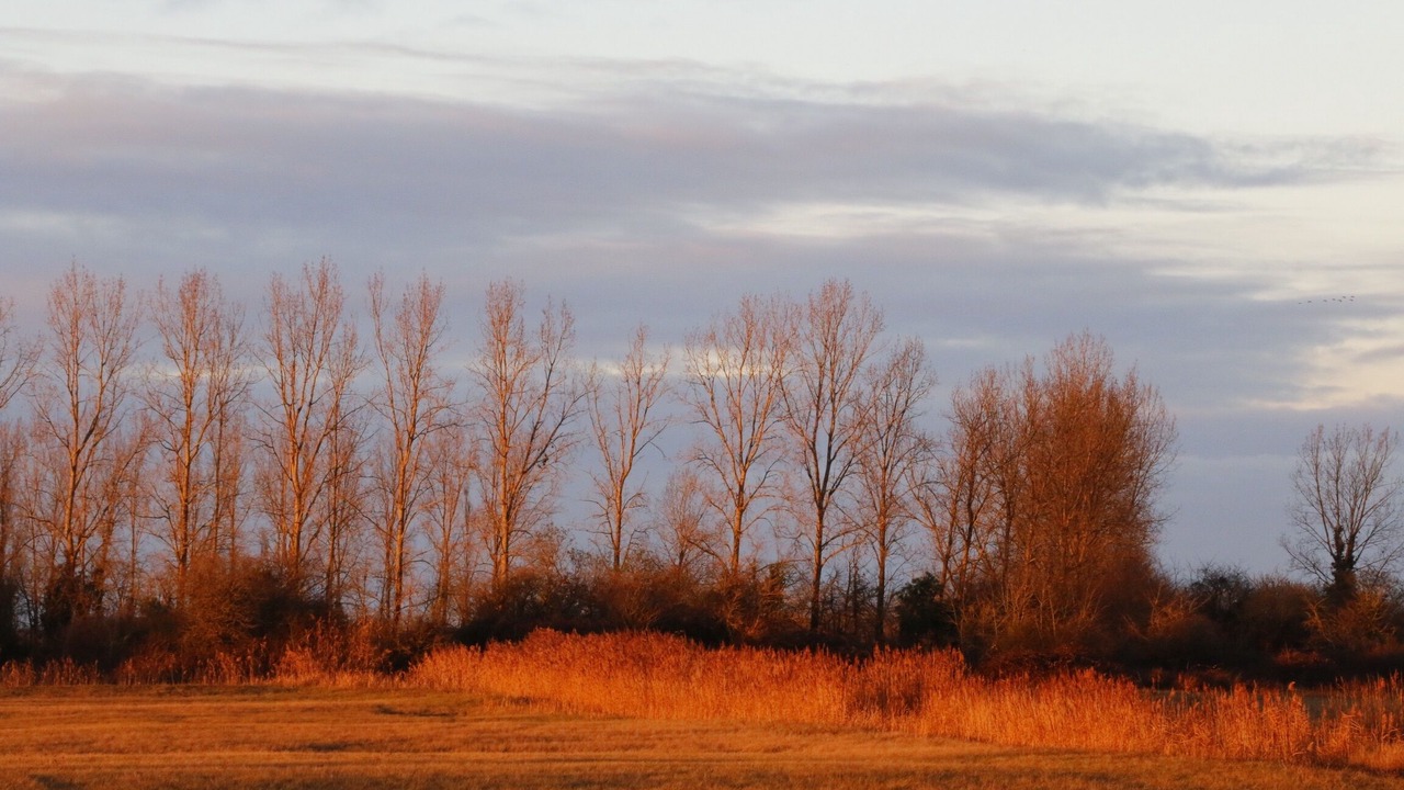 Photo of Outdoor in Saint-Hilaire-de-Riez