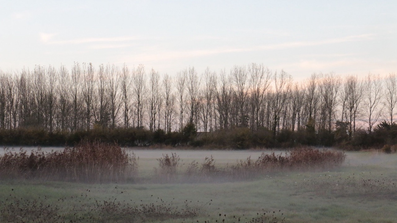 Photo of Others in Saint-Hilaire-de-Riez