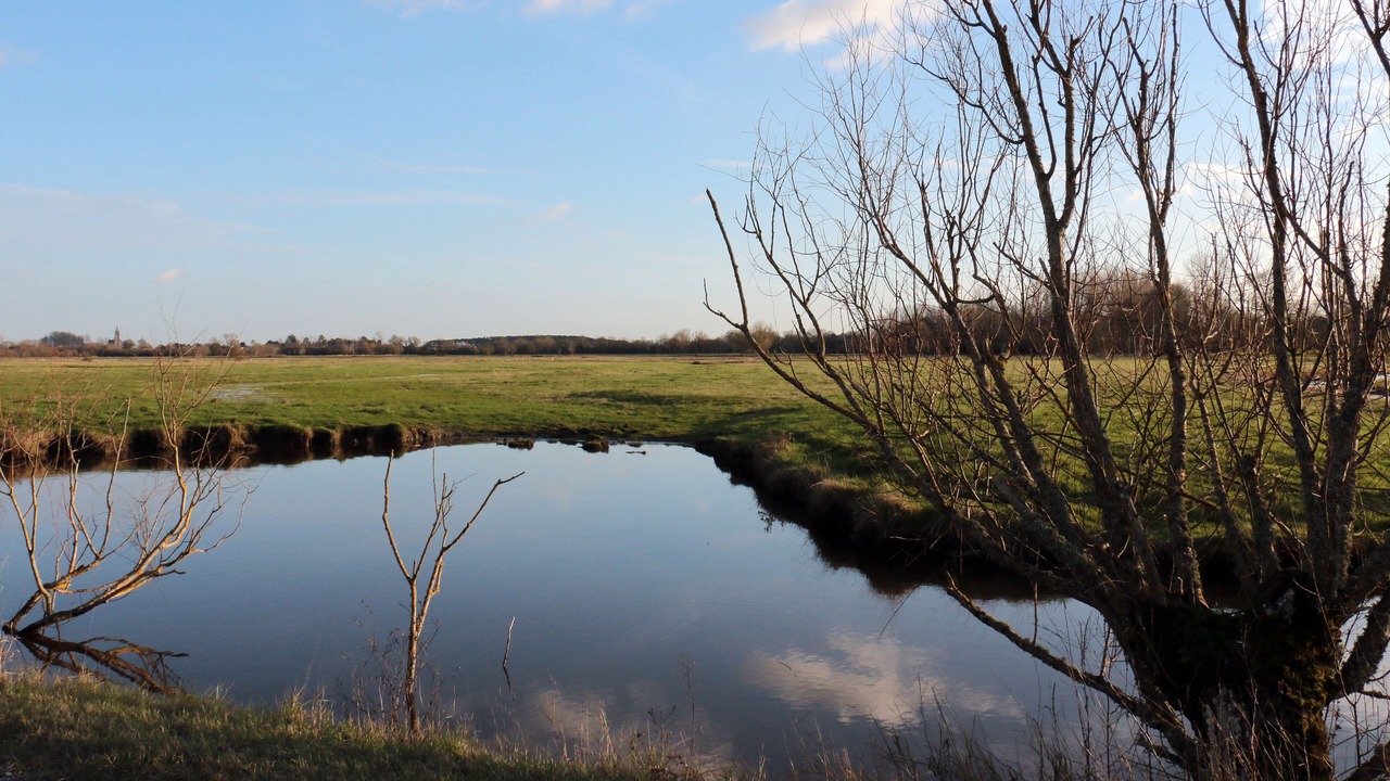 Photo of Outdoor in Saint-Hilaire-de-Riez