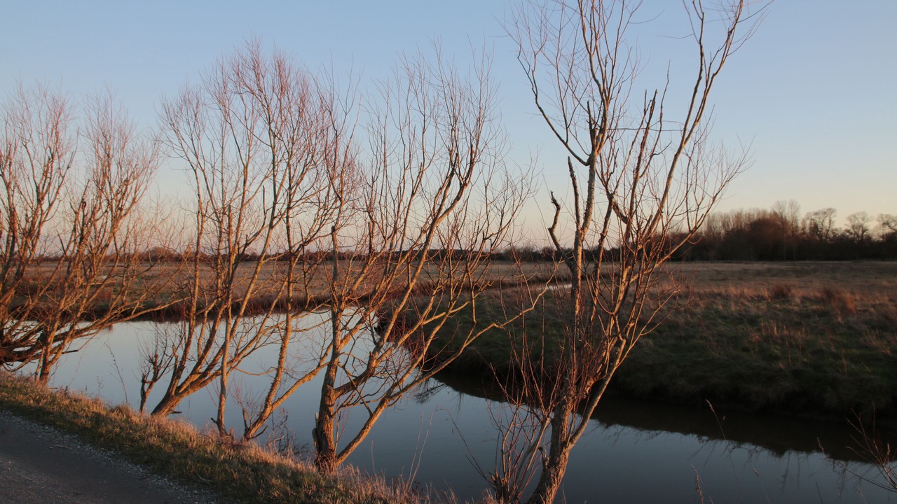Photo of Outdoor in Saint-Hilaire-de-Riez