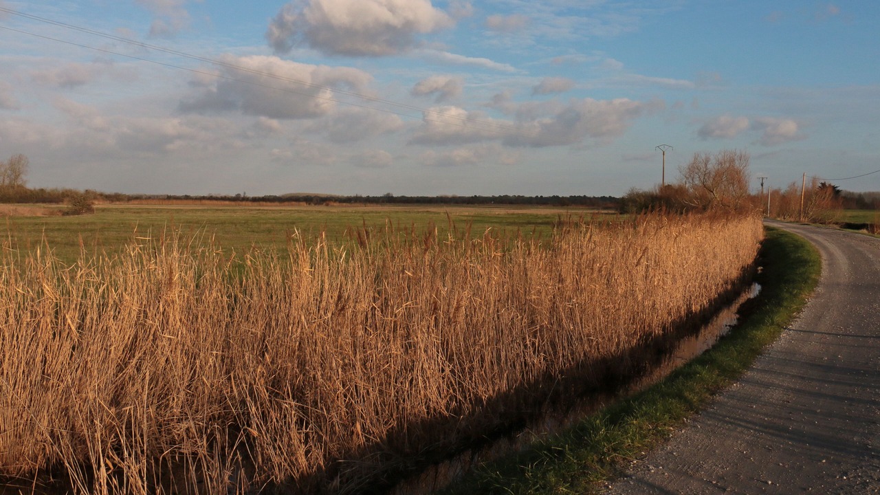 Photo of Others in Saint-Hilaire-de-Riez