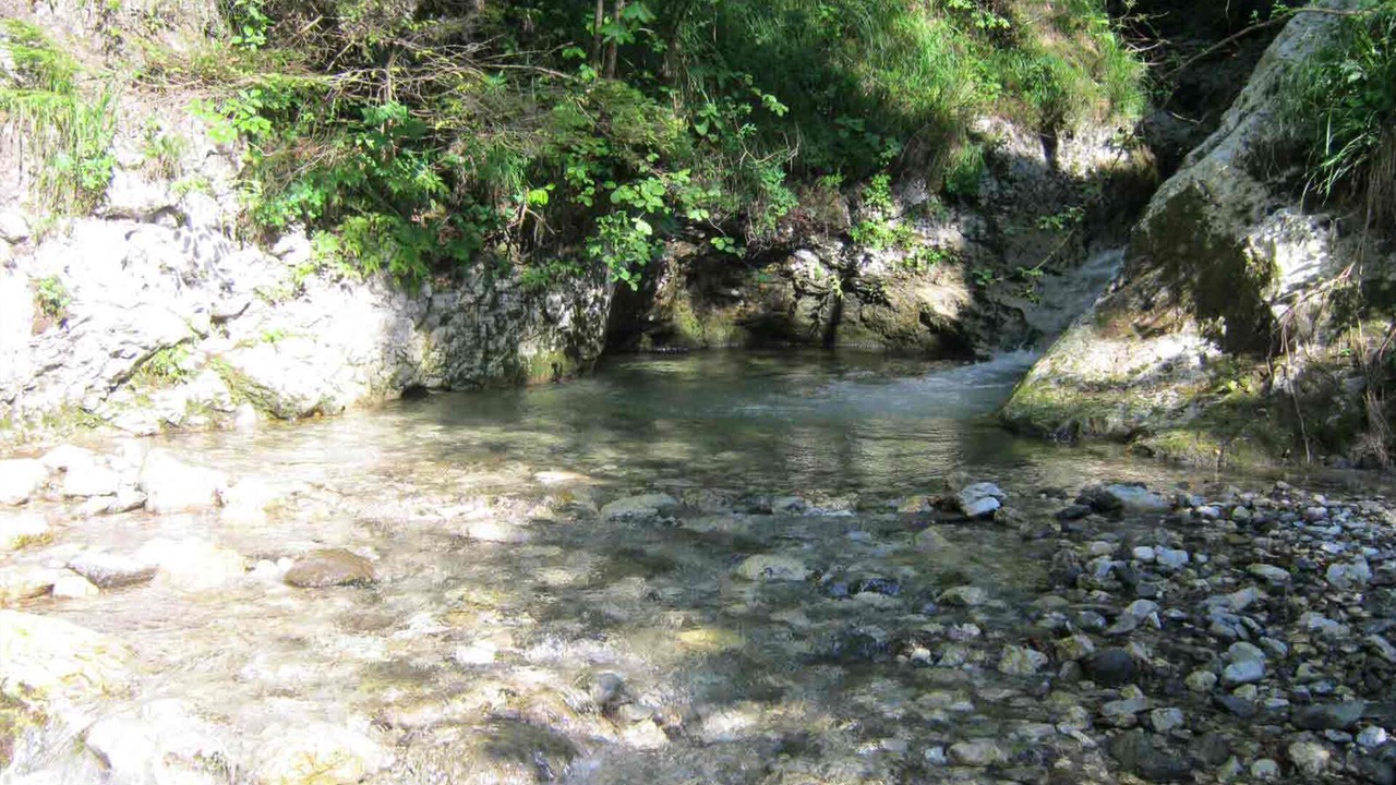 Photo of Others in Tolmin