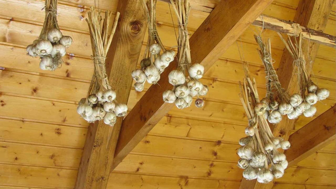 Photo of Others in Tolmin