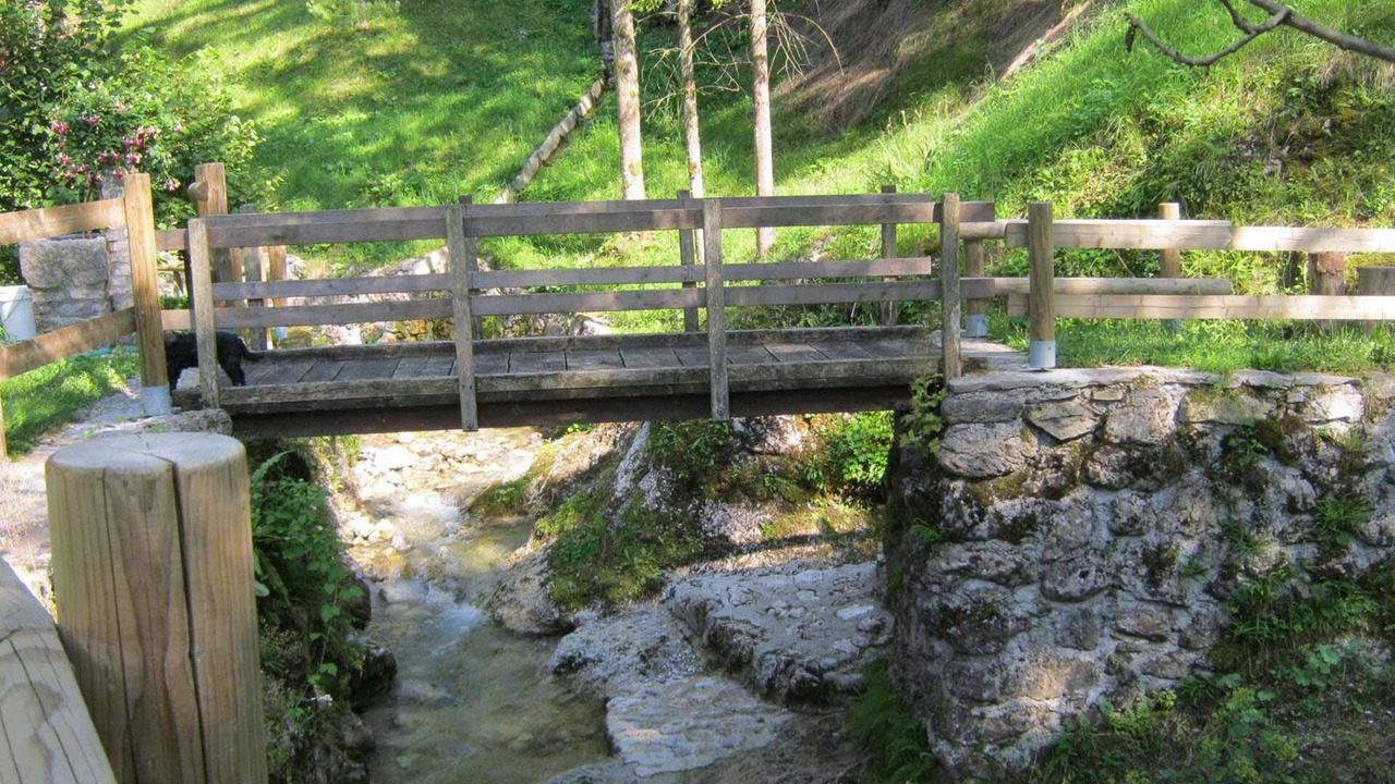 Photo of Others in Tolmin