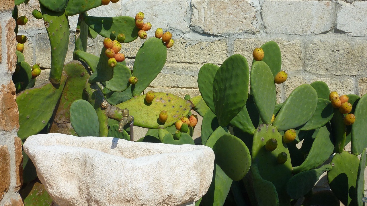 Photo of Outdoor in San Pietro in Bevagna