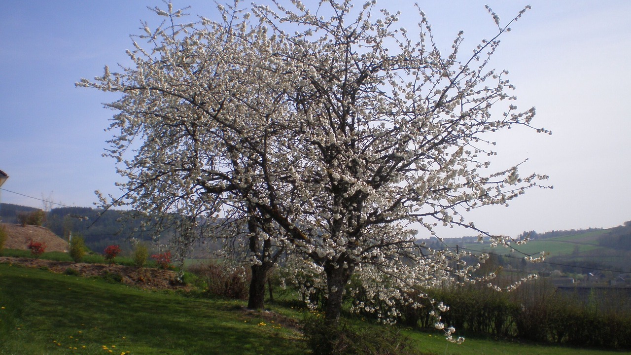 Photo of Outdoor in Anost