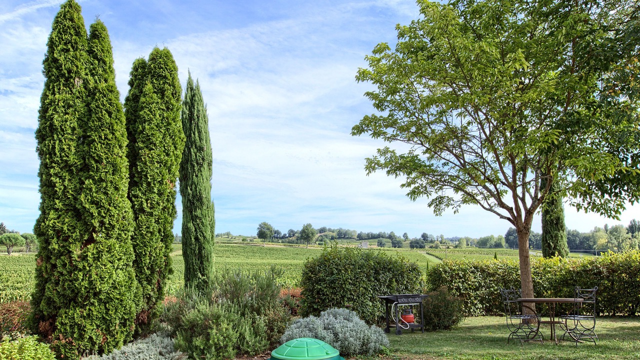 Photo of Outdoor in Montagne