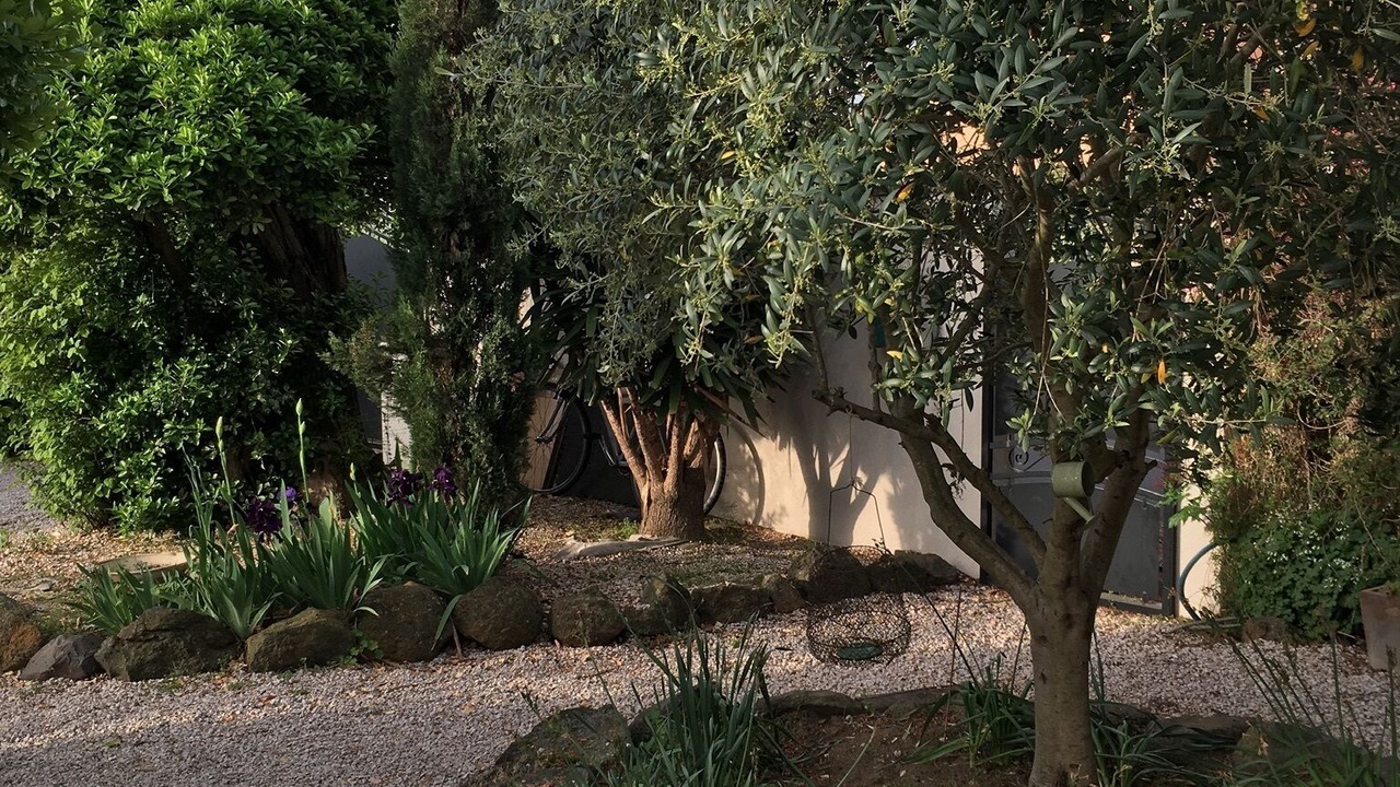 Photo of Outdoor in Le Grau-dʼAgde