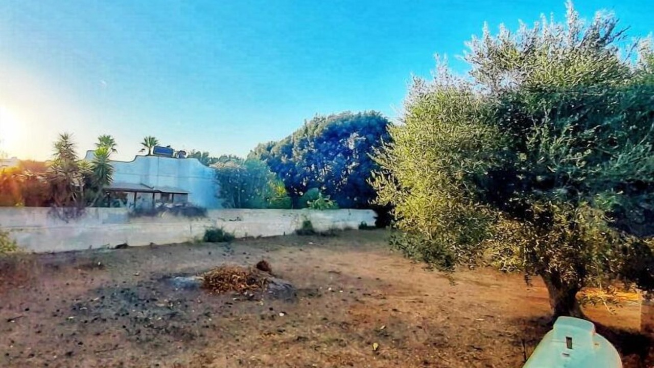 Photo of Outdoor in Torre Colimena