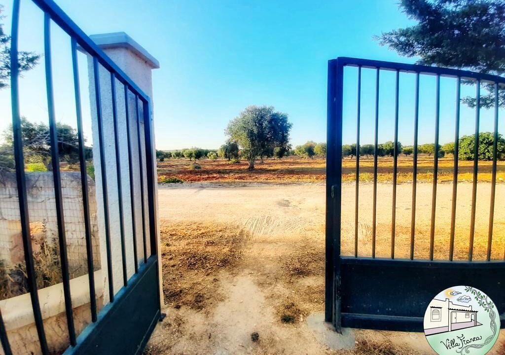 Photo of Outdoor in Torre Colimena