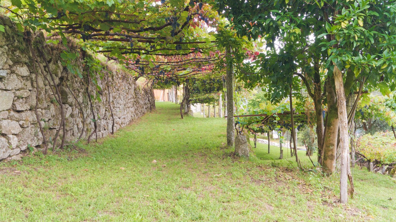 Photo of Outdoor in Bico