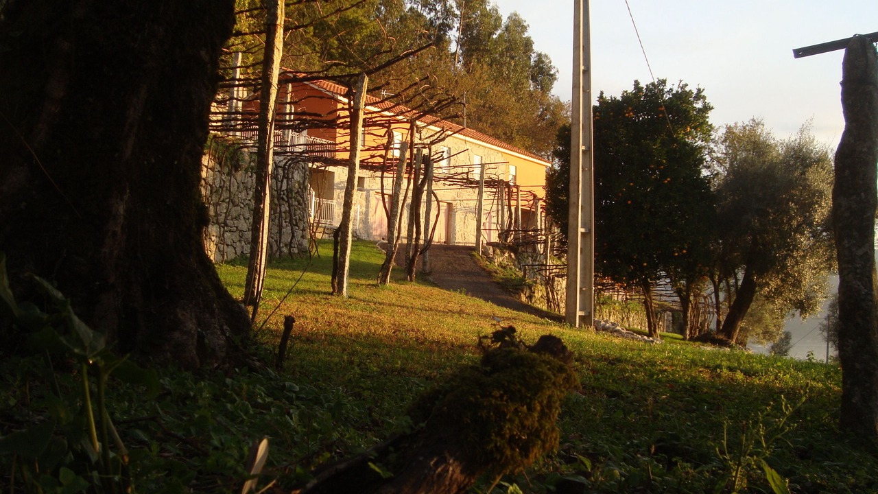 Photo of Outdoor in Bico