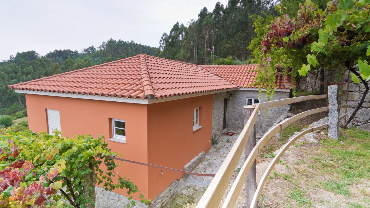 Photo of Outdoor in Bico