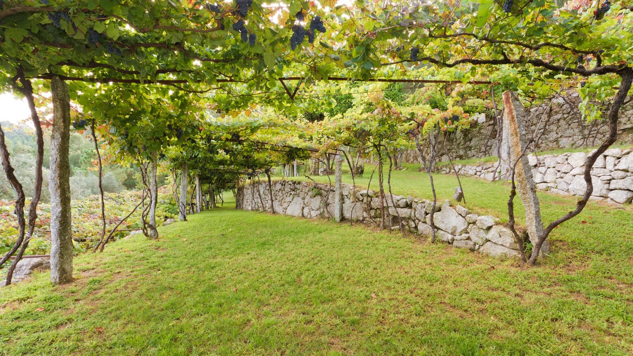 Photo of Outdoor in Bico