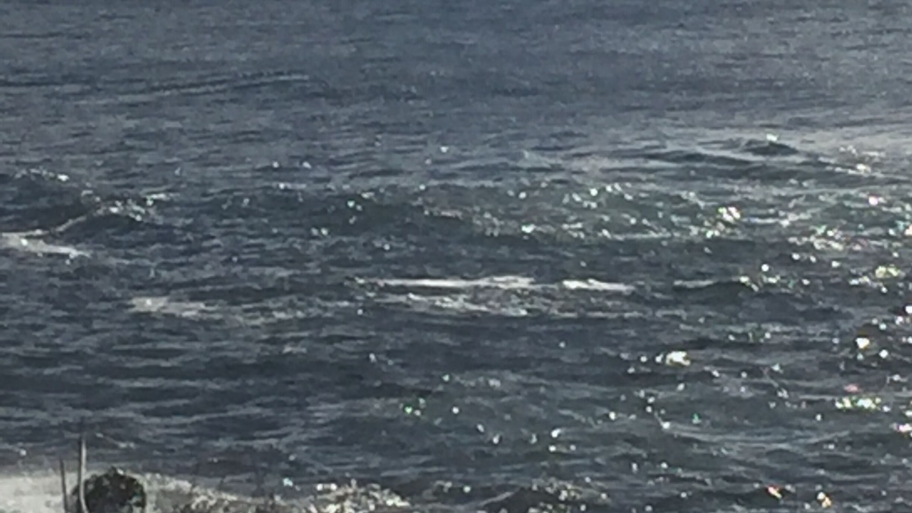 Photo of Others in Terra Nova