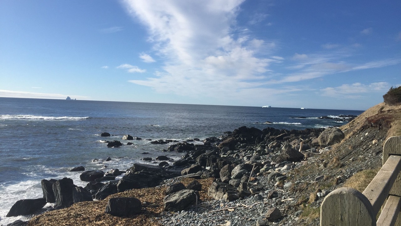 Photo of Others in Terra Nova