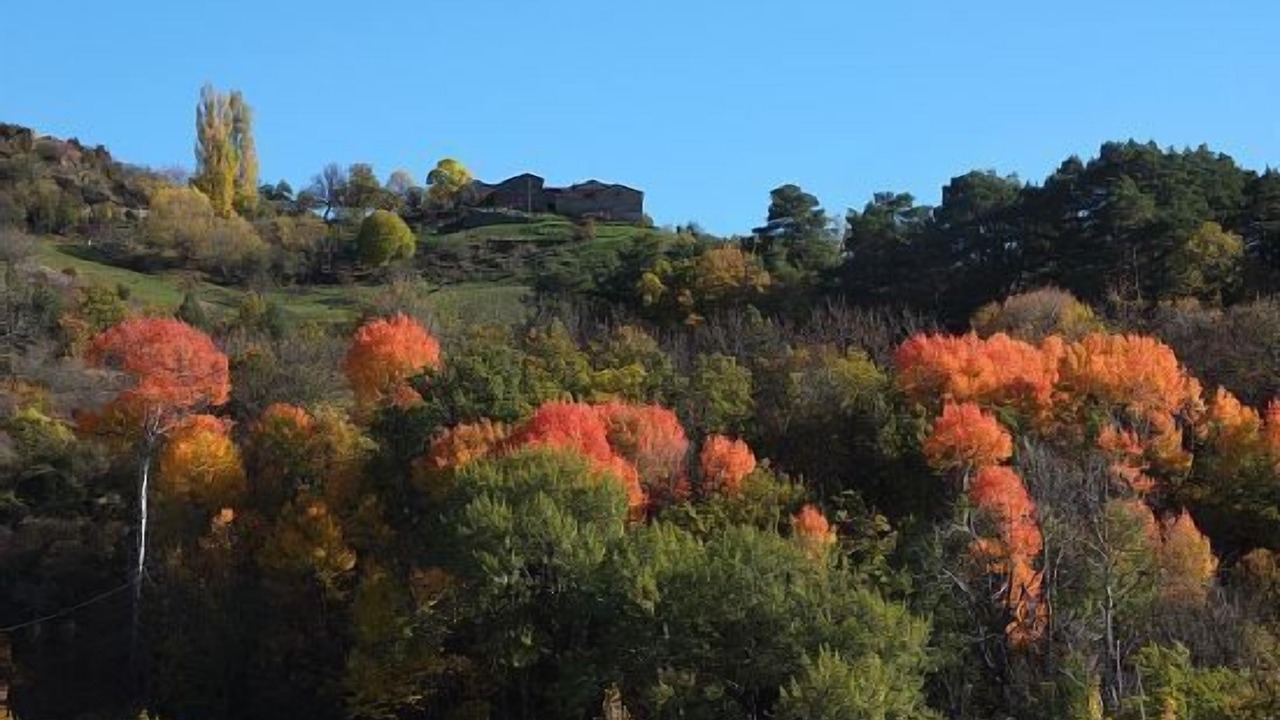 Photo of Outdoor in Cava