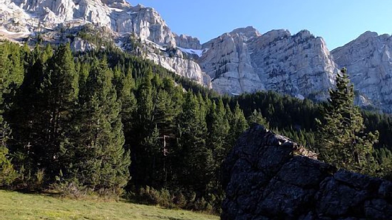 Photo of Outdoor in Cava