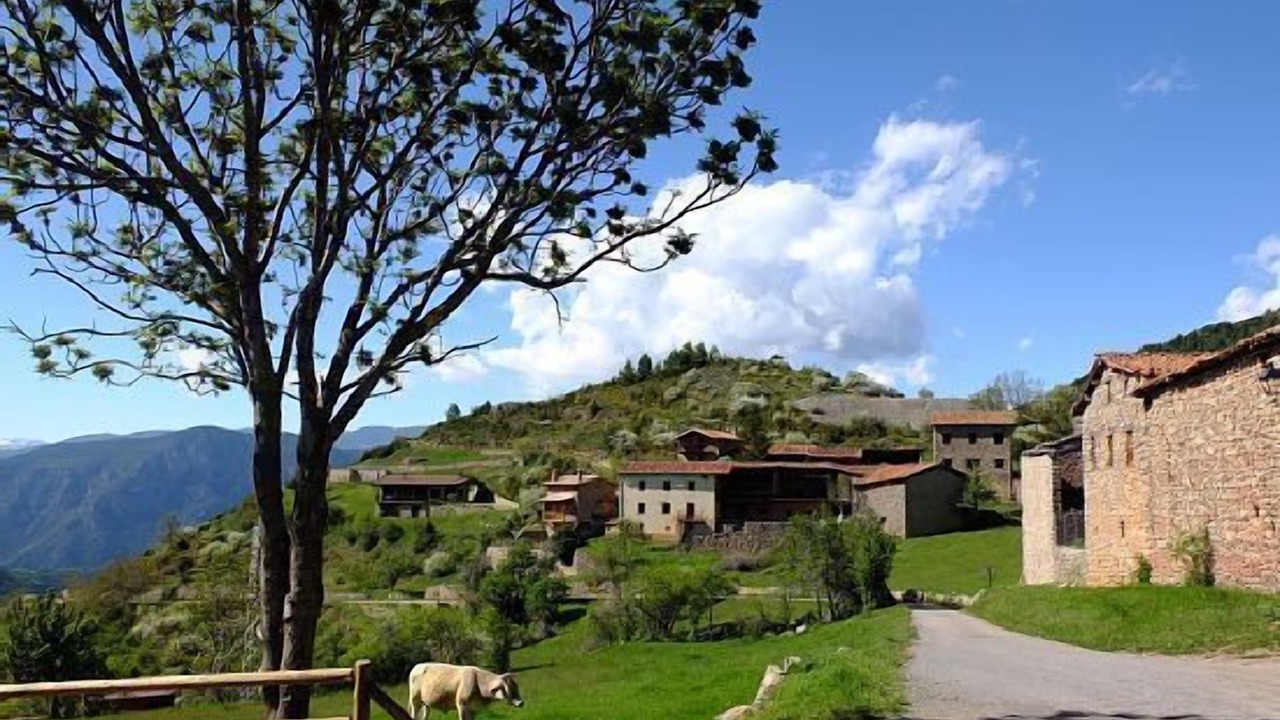 Photo of Outdoor in Cava
