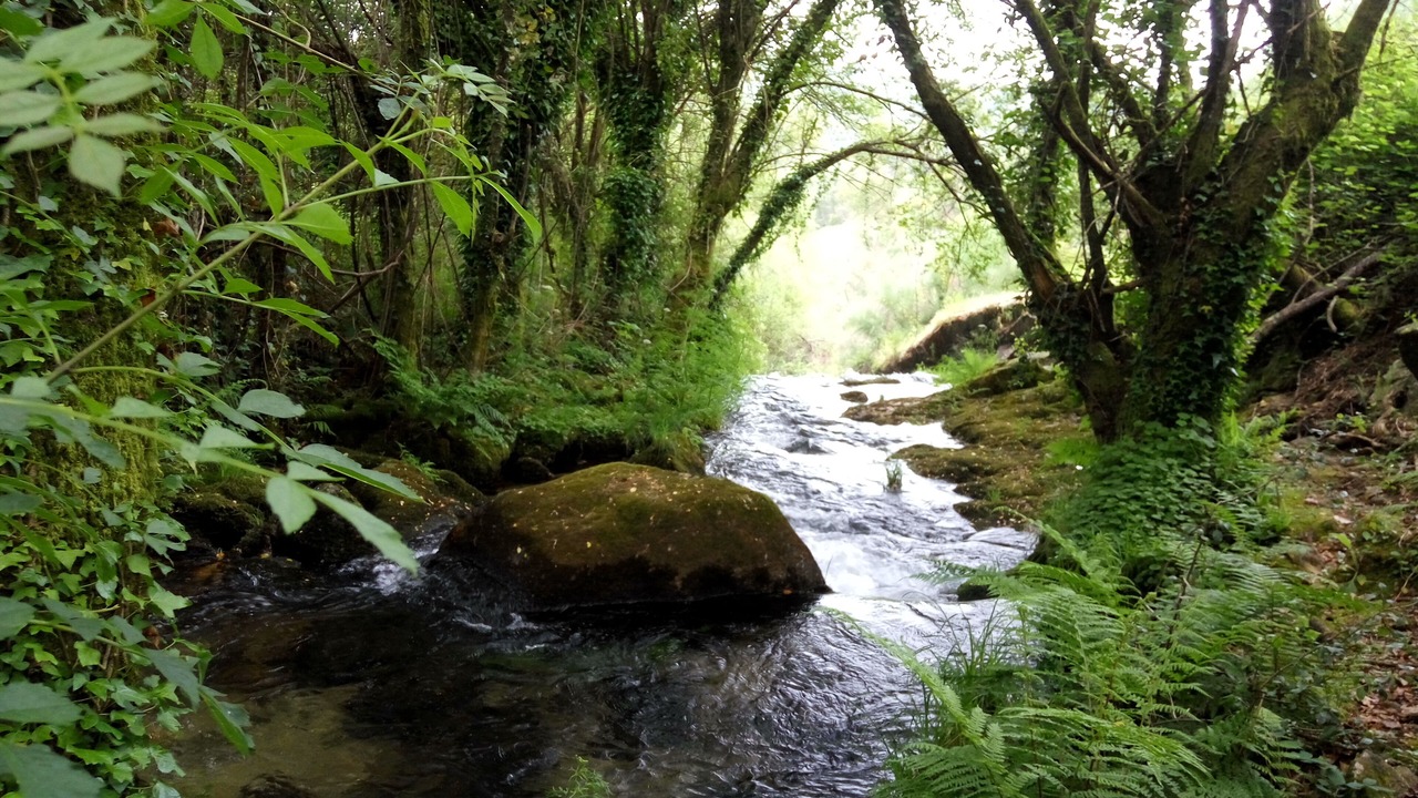 Photo of Outdoor in Pico