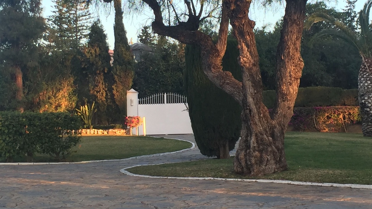 Photo of Others in Guadalmina