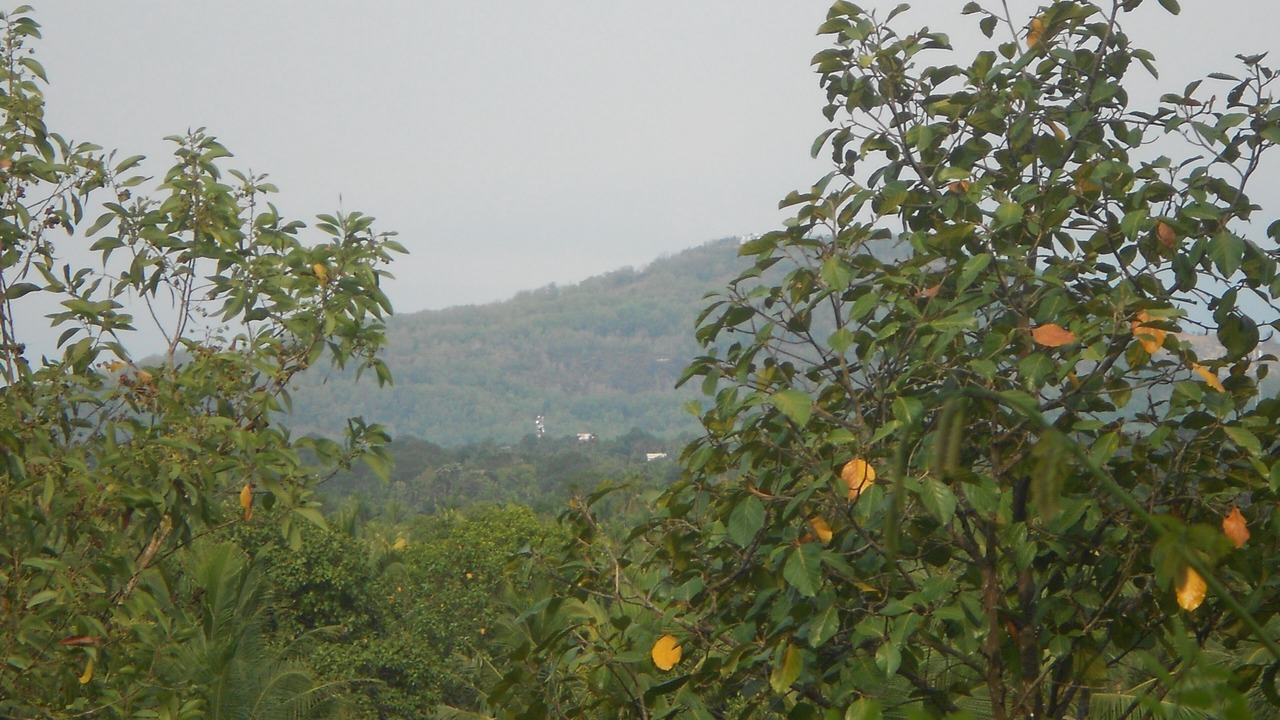 Photo of Outdoor in Thiruvananthapuram