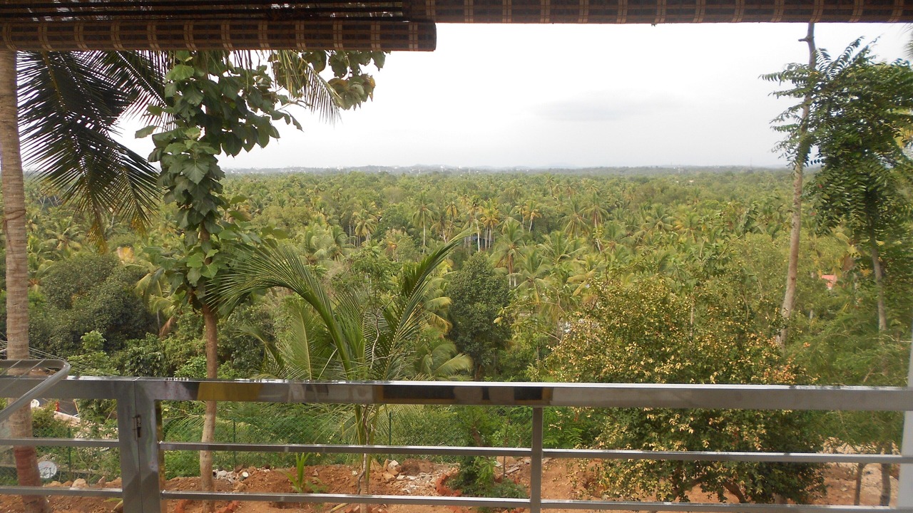 Photo of Outdoor in Thiruvananthapuram